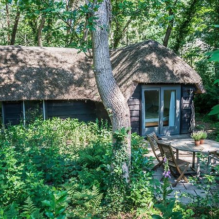 Aa Casia Vakantiehuis Zeegse Kültér fotó