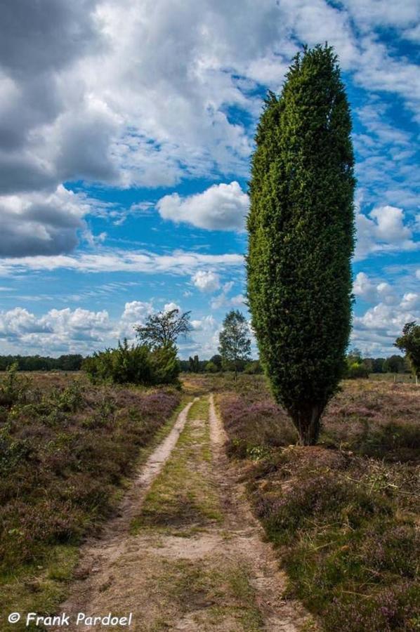 Aa Casia Vakantiehuis Zeegse Kültér fotó